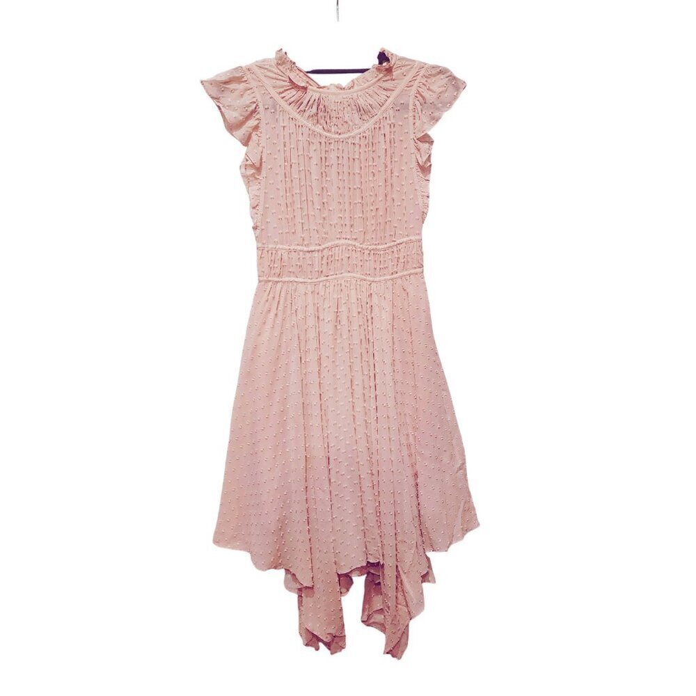 Ulla Johnson Jules Assymetric Midi Dress Dusty Rose Swiss Dot Size 2